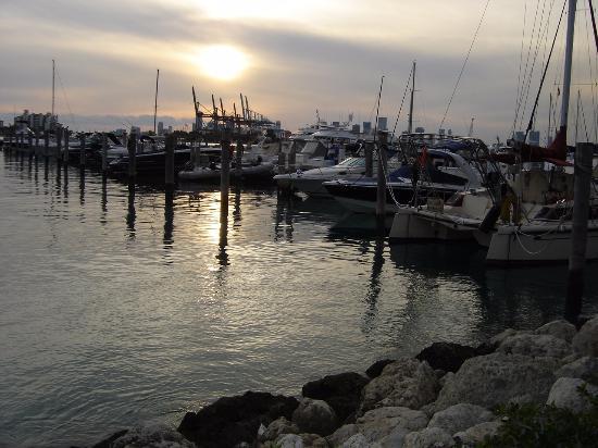 Marina de Miami Beach