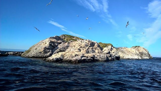 Aqua Lofoten Coast Adventure AS