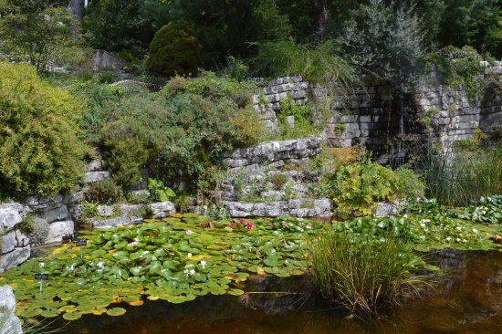 Musée et jardins botaniques cantonaux de Lausanne