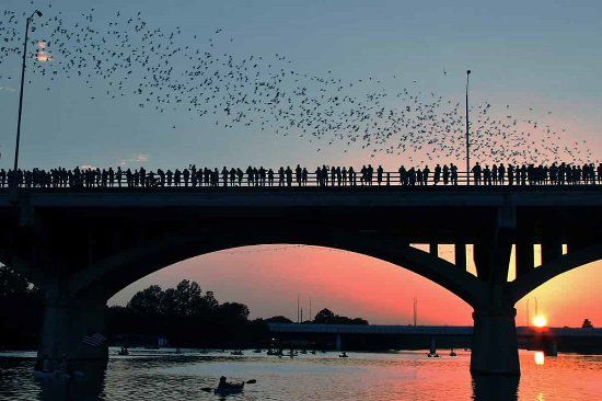 Pont de Congress Avenue