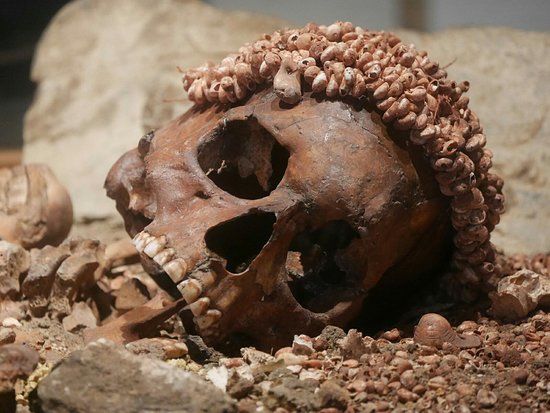 Musée archéologique ligure