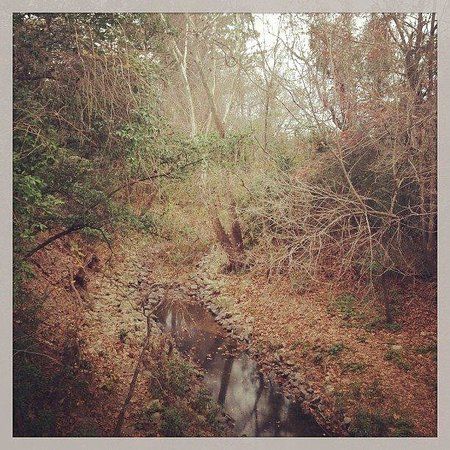 Réserve naturelle Edith L. Moore