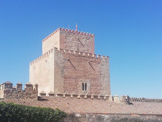 Castillo Alcazar de Enrique II
