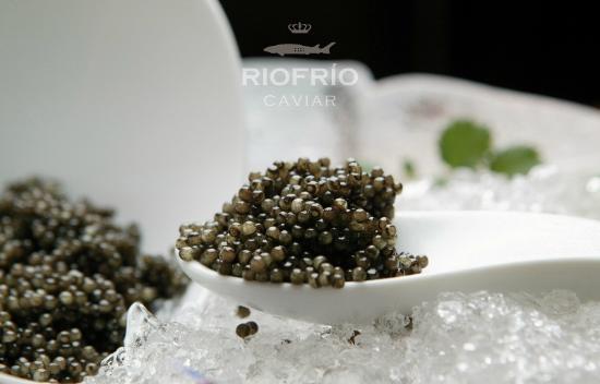 Caviar de Riofrio