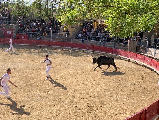 Arenes Municipales Roger Itier