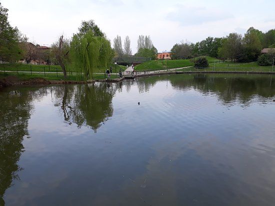 Parco Rio dei Gamberi