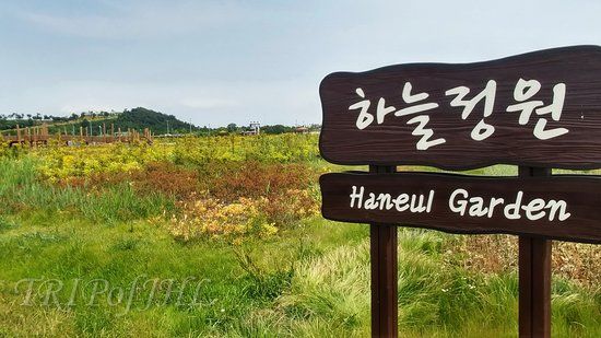 Incheon International Airport Sky Garden