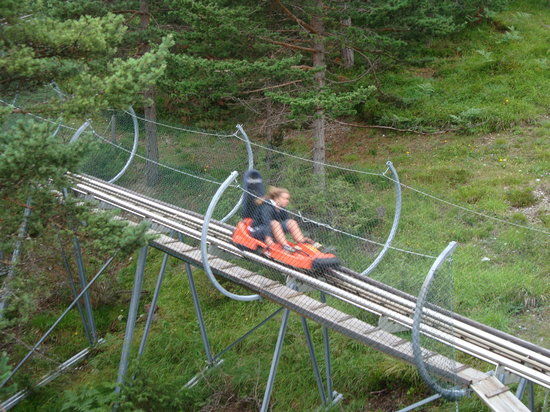 Luge d'été