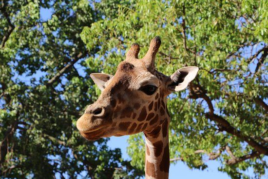 Parc zoologique de Perth