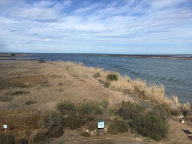 Parc Natural del Delta de l'Ebre