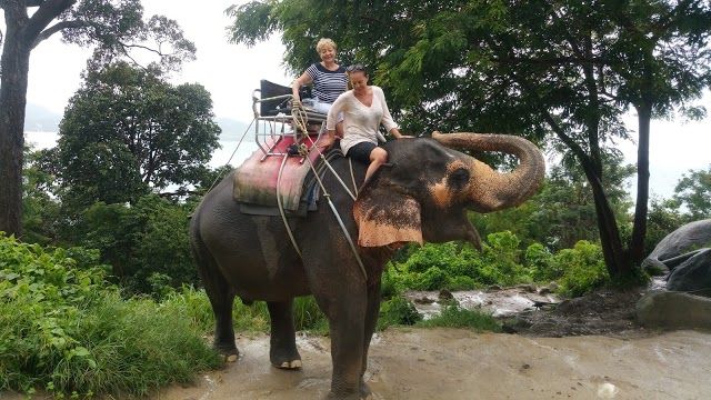 Elephant Kalim Garden