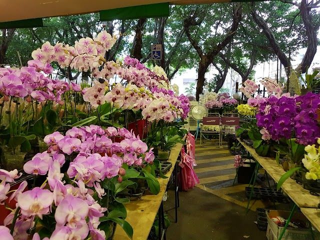 Marché de jade et aux fleurs Jianguo de Taipei