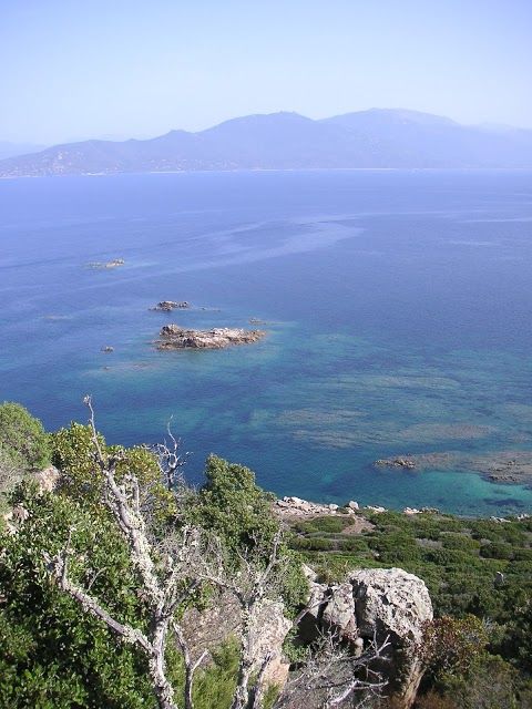 Campomoro