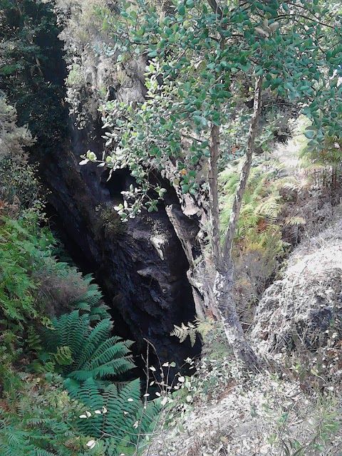 Parque Paleozoico de Valongo