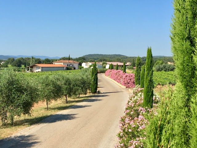 Domaine de Canta Rainette