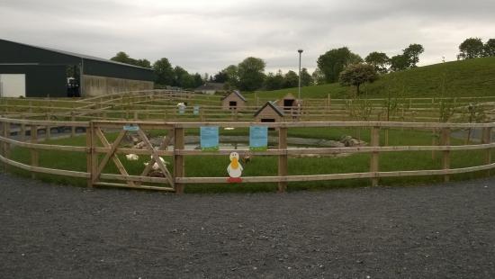 Mollie Moo's Pet Farm