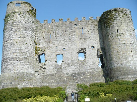 Château de Carlow