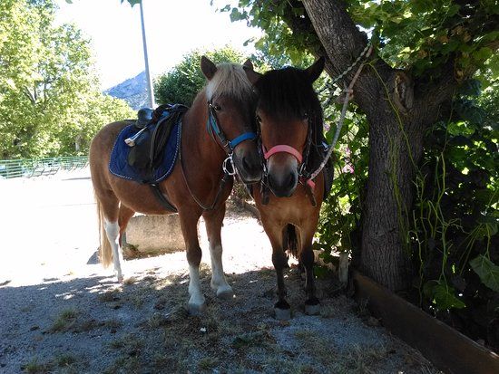 Domaine Equestre des Archanges