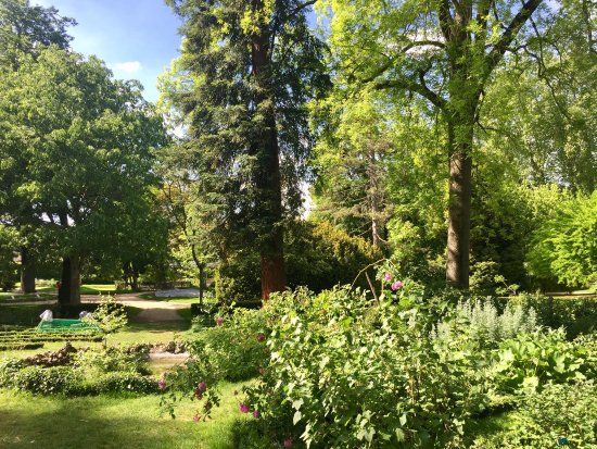 Jardin des plantes de Poitiers