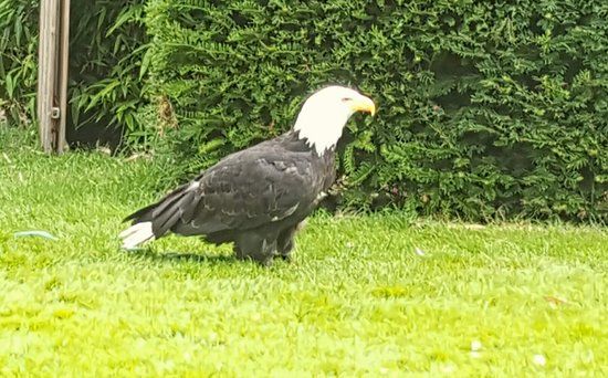 Zoopark The Oliemeulen