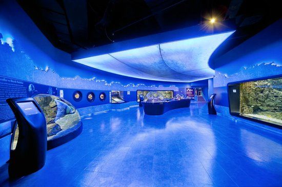 Aquarium d'Istanbul