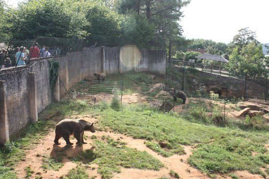 Site préhistorique de Regourdou