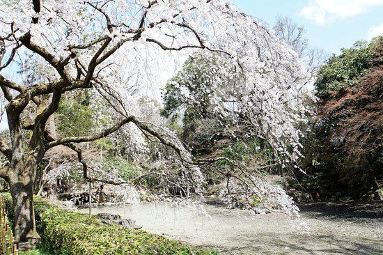 Palais impérial de Kyōto