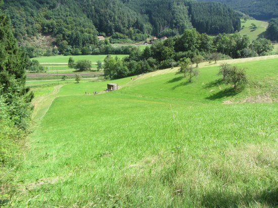 Parc à thème Park mit allen Sinnen