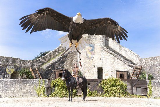 Les Aigles des remparts