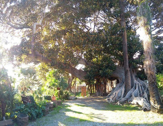 Musée Clarence Bicknell