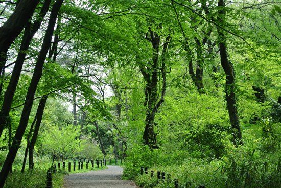 Parc national pour l'étude de la nature