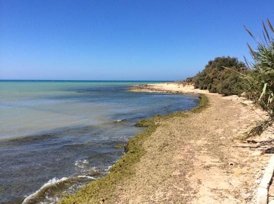 Reserve naturelle du fleuve Irmino
