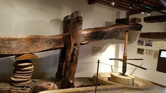 Musée de l'huile d'olive