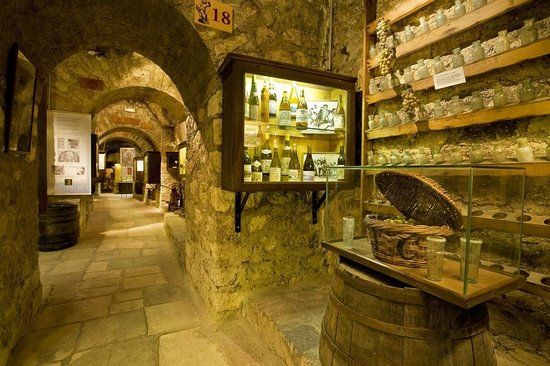 Musée du Vin