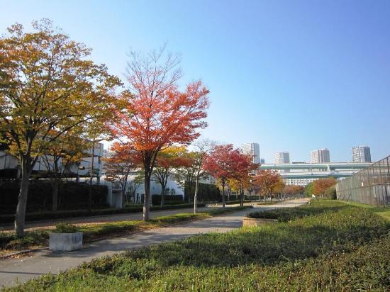 Parc Tatsuminomori Seaside Park