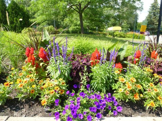 Jardin universitaire Roger-Van den Hende