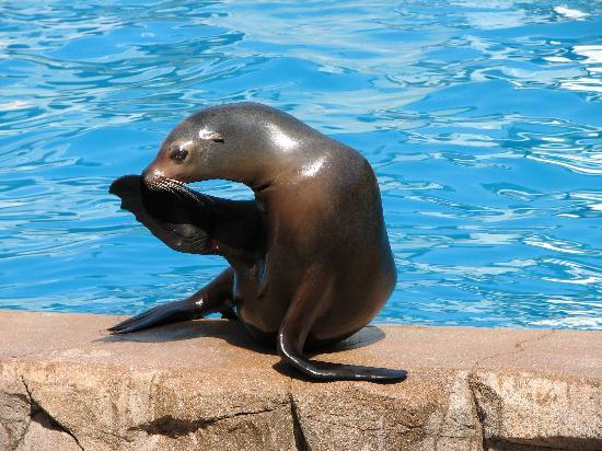 Zoo du comté de Milwaukee