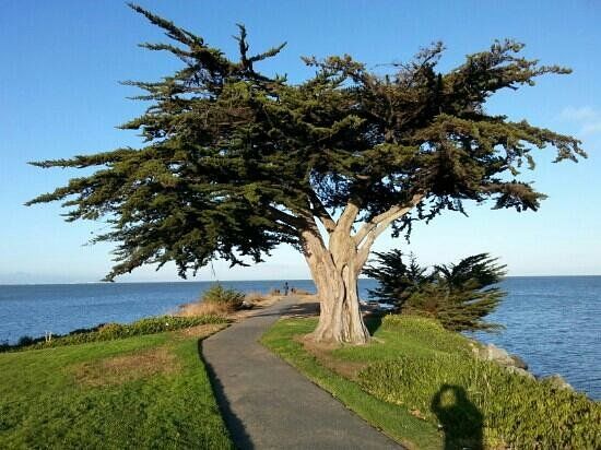 San Bruno Point Park