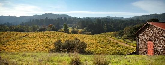 Parc d'État historique Jack London