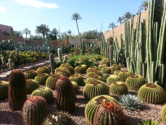 musée de la Palmeraie