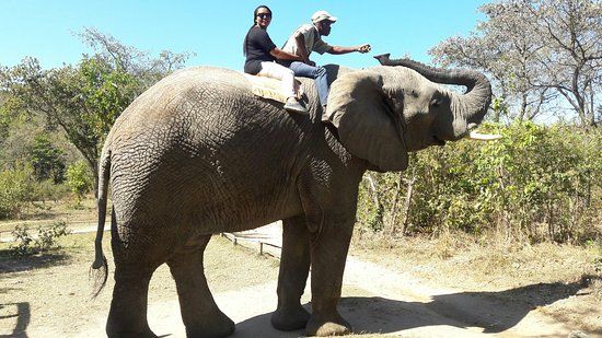 Elephant Sanctuary Hazyview