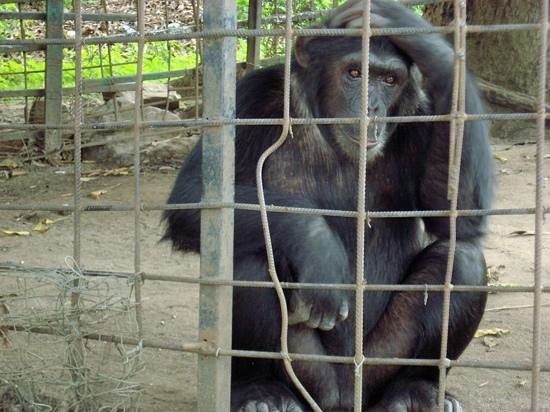 Musée vivant de Bujumbura