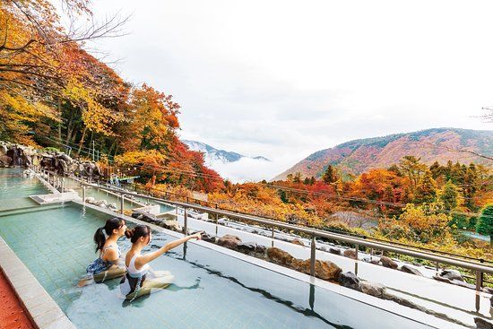 Complexe aquatique Hakone Kowakien Yunessun