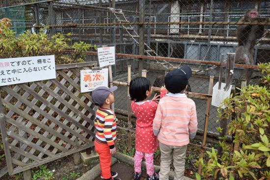 Théatre Kawaguchiko Sarumawashi Theater