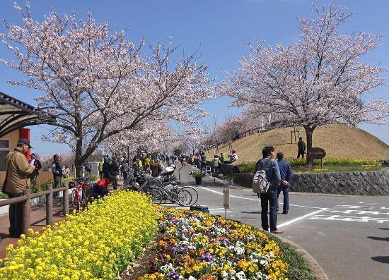 Observatoire Sakura-no-Yama Hill