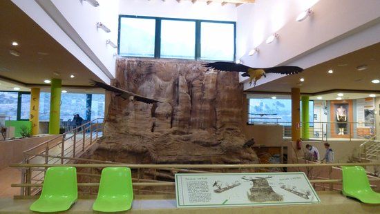 Centro de Interpretacion de Aves Arcaz