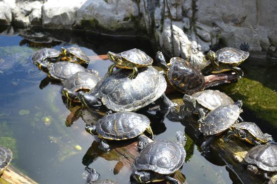 SEA LIFE de Blankenberge