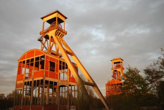 Parc national de la Haute Campine
