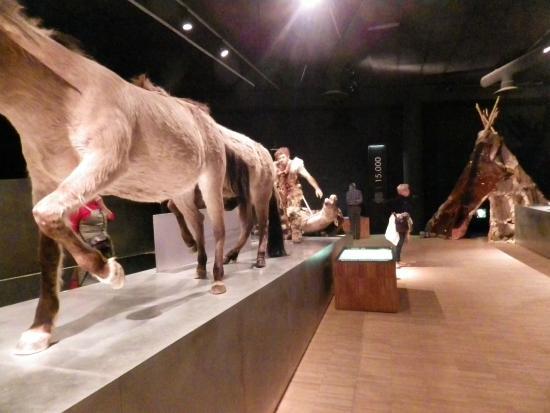 Musée gallo-romain de Tongres