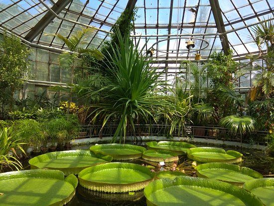 Jardin botanique Alexandru Borza